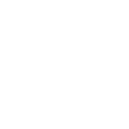 Bici